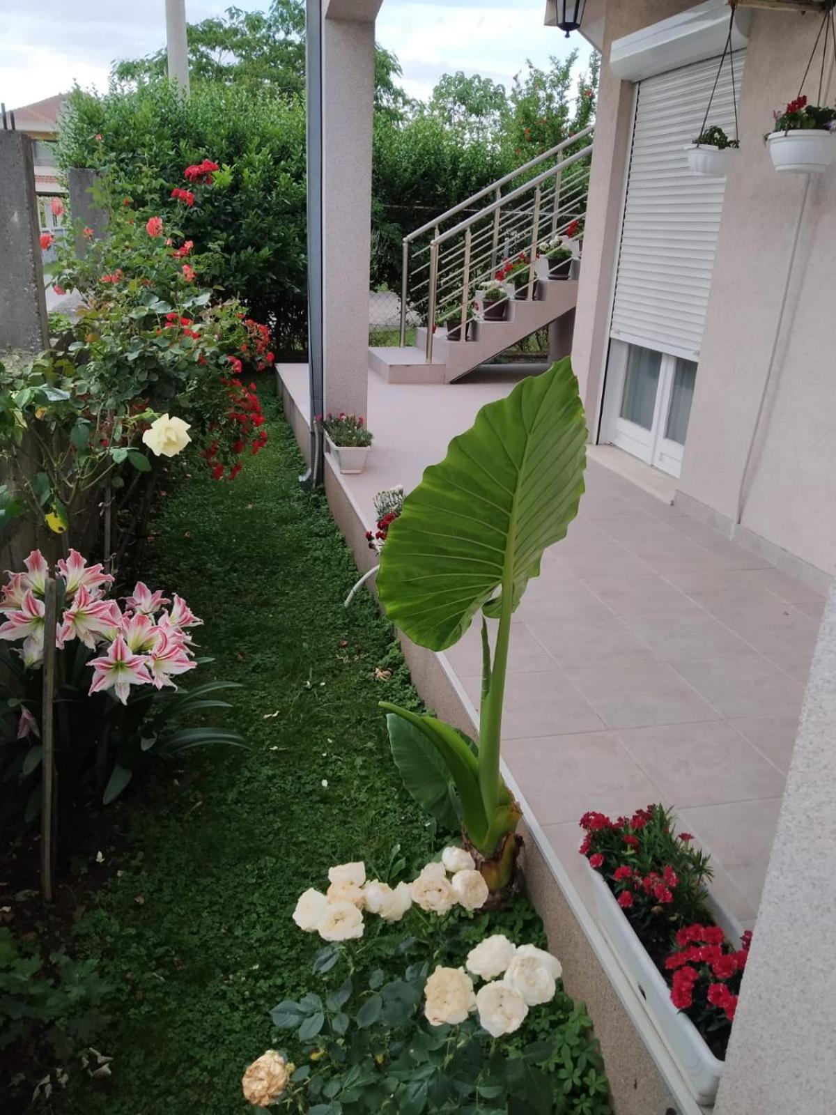 Entire House Floor - 2-Bedroom Cozy & Peaceful Apartment Podgorica Eksteriør bilde